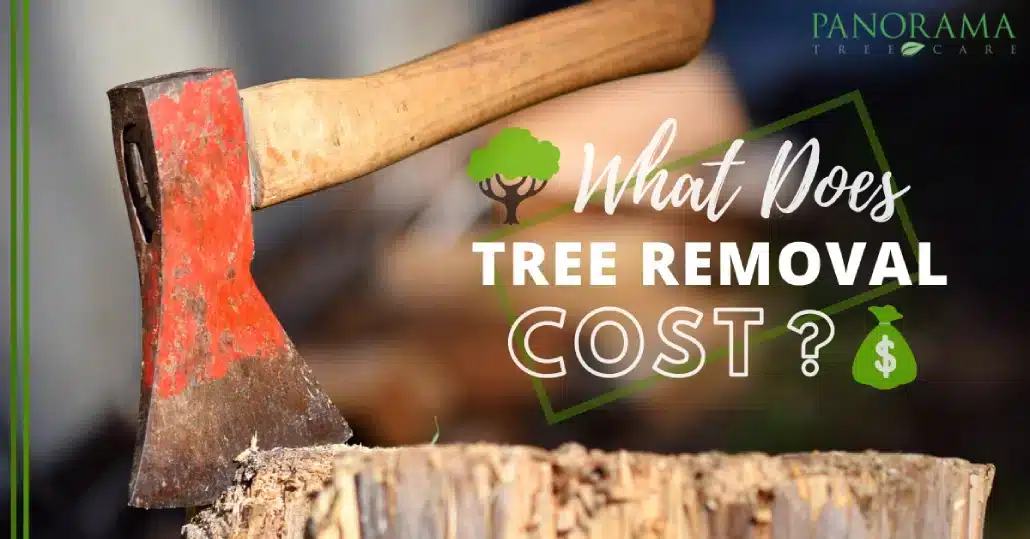 WHAT DOES TREE REMOVAL COST?