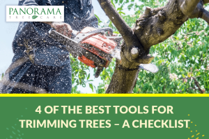 best tools for trimming trees