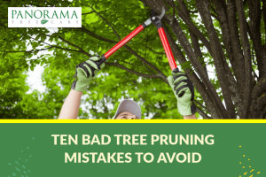 bad tree pruning mistakes