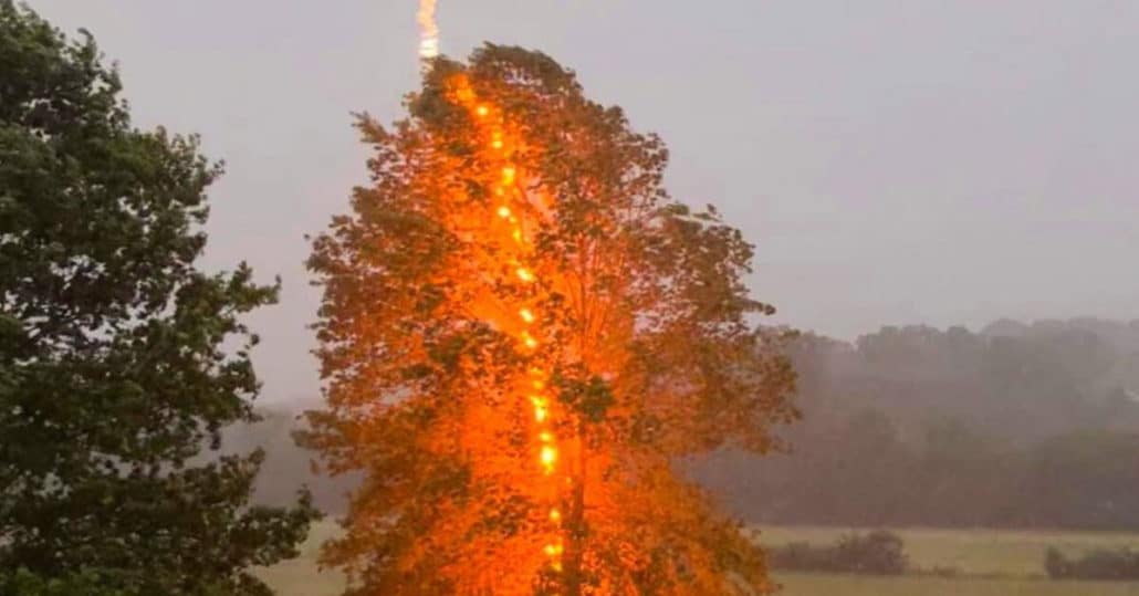 lightning striking tree