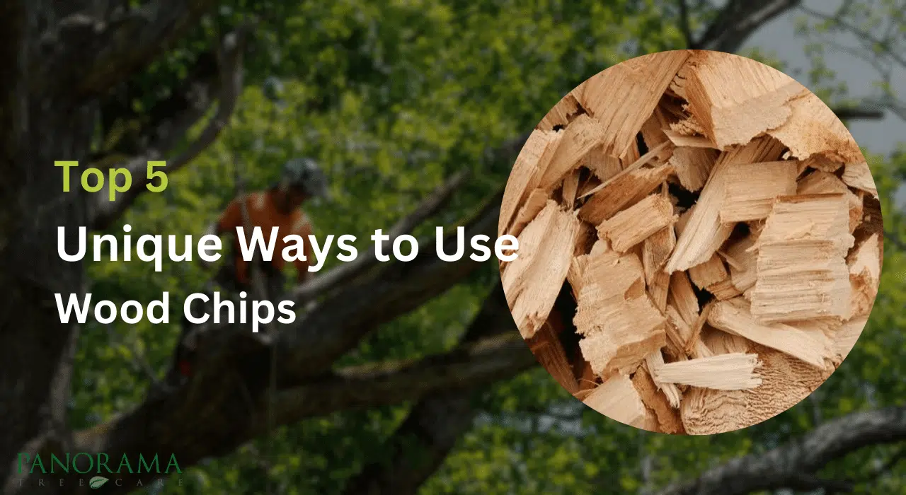 Unique Ways to Use Wood Chips From Tree Services
